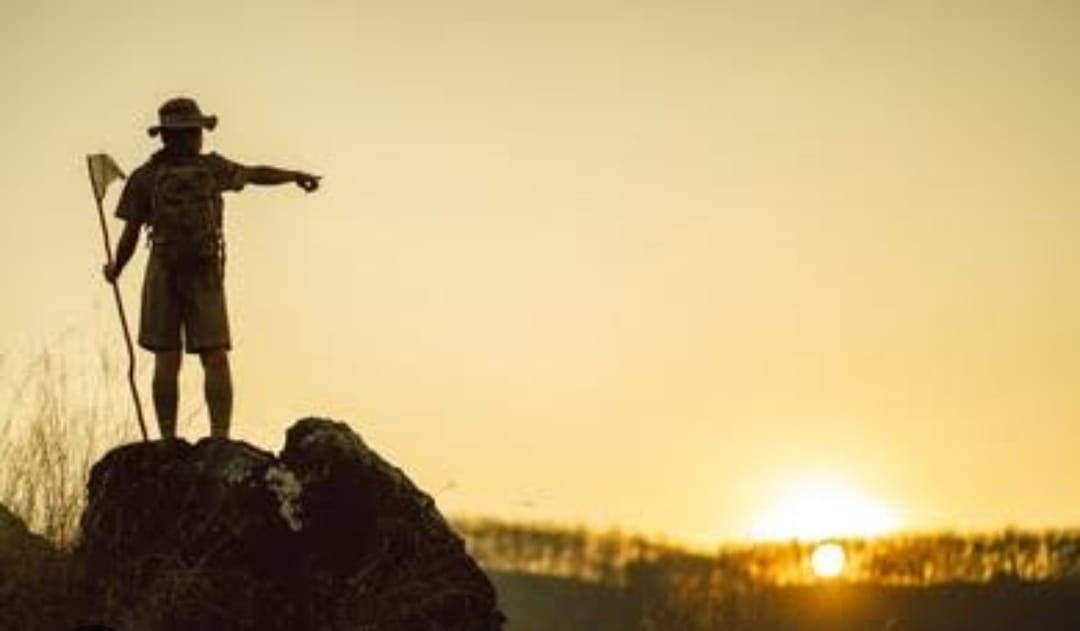 Workshop para Coordenadores Distritais