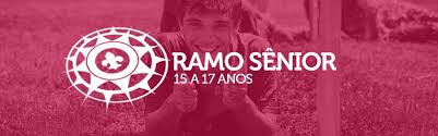 NIVELAMENTO CI SENIOR 